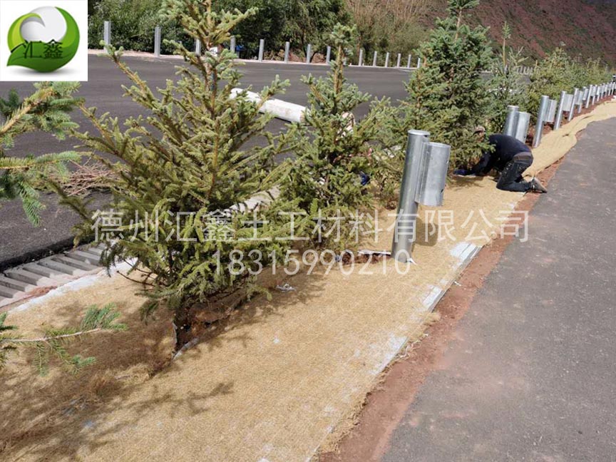 护坡生态毯应用于城市道路边坡(图1)