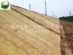 江西赣州赵总订购护坡草毯5万平米