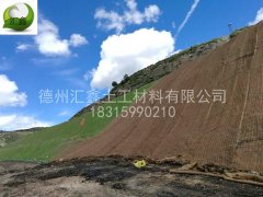 陕西渭南矿山修复工程订购护坡草毯7万平米