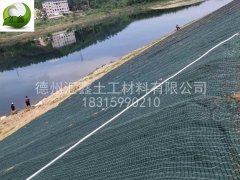北京大兴区河道改造订购抗冲生物毯2万平米