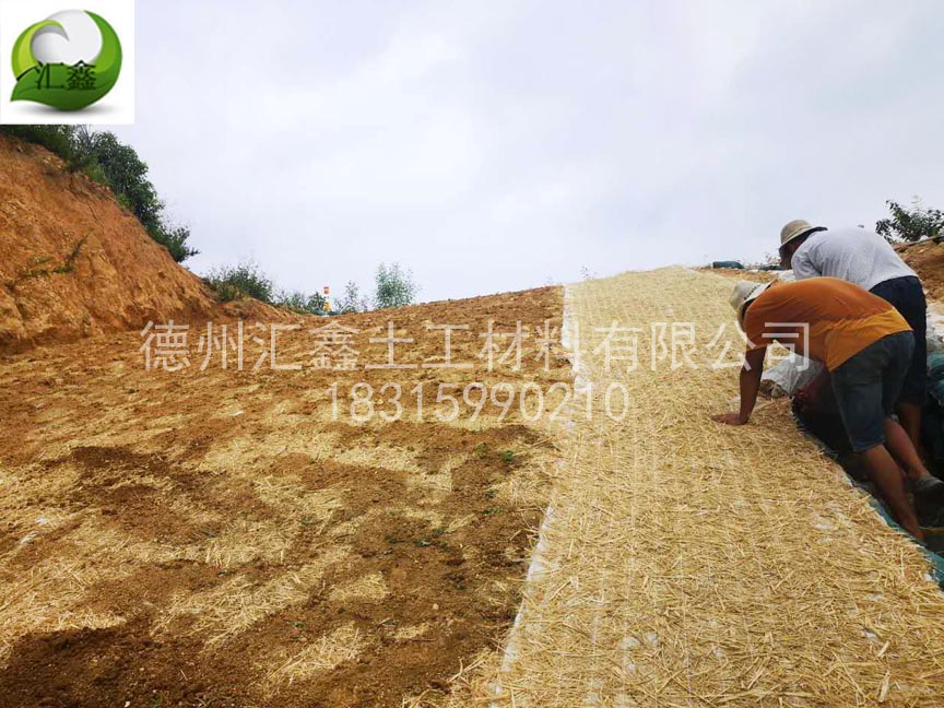 一体化草毯用于高速公路边坡防护(图3)