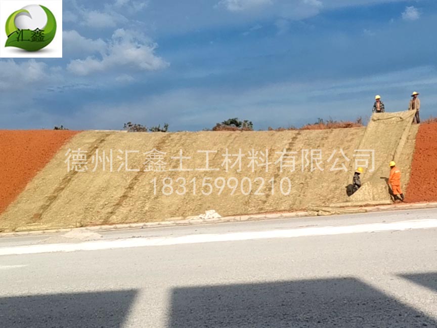 一体化草毯在高速公路边坡的应用(图2)