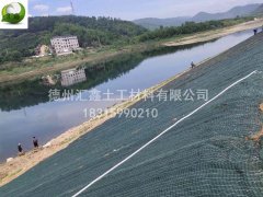 抗冲生物毯应用在堤防河道边坡